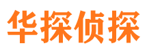 陆丰市调查公司